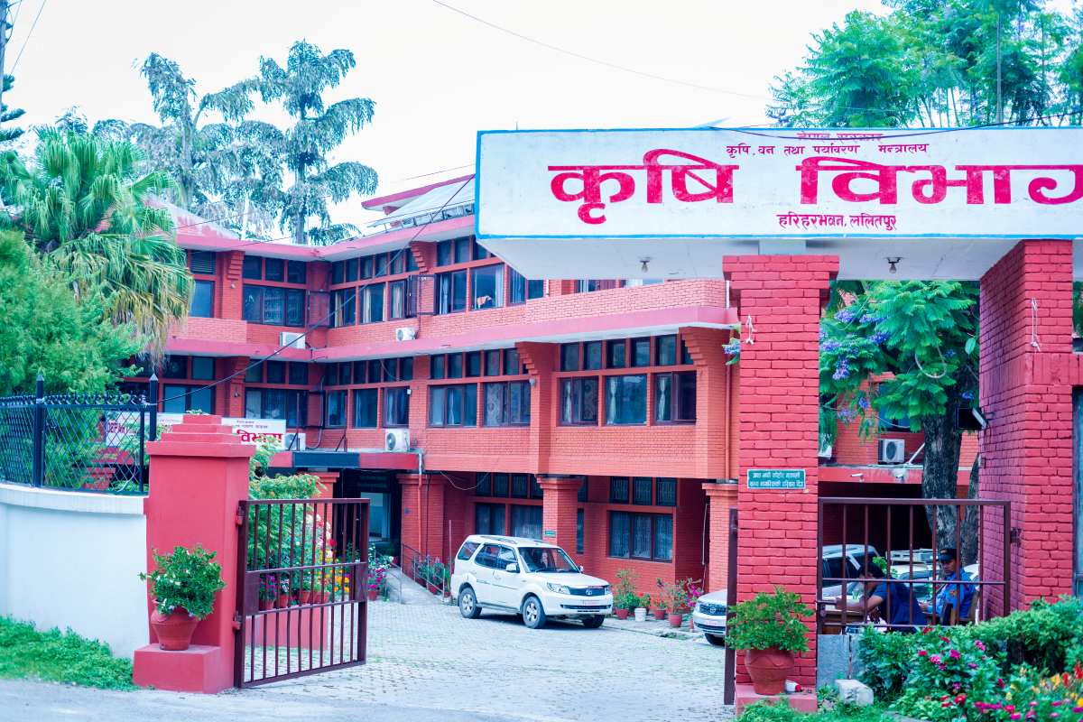 बीउ उत्पादन कार्यक्रम ५८ स्थानीय तहमा सञ्चालन