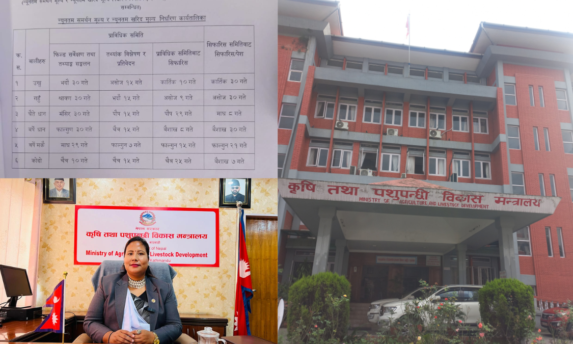 बाली लगाउनुअघि नै मूल्य तय गर्ने निर्णय