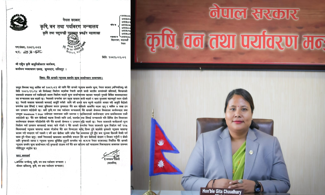 चैते धानको न्यूनतम समर्थन मूल्य कार्यान्वयन गर्न कृषि मन्त्रालयको आग्रह