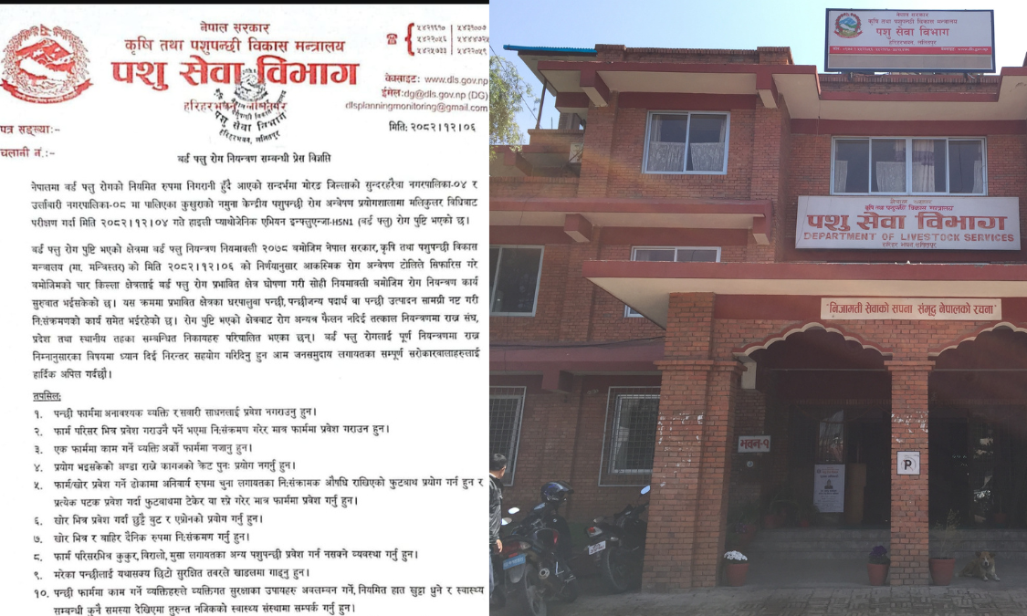 मोरङमा बर्ड फ्लु पुष्टि, सतर्कता अपनाउन विभागको अपिल