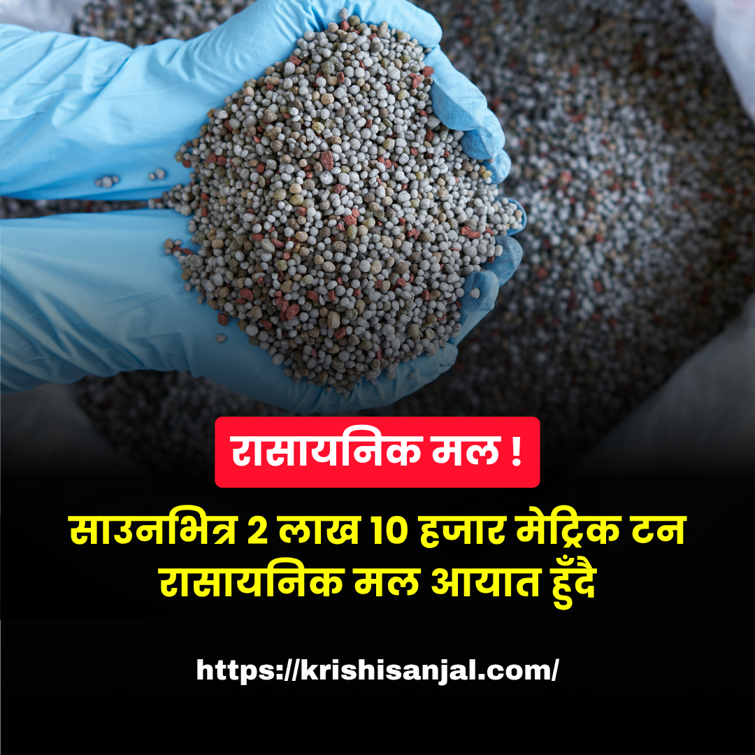 किसानलाई राहतः साउनभित्र २ लाख १० हजार मेट्रिक टन रासायनिक मल आयात हुँदै