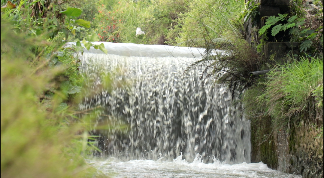 आज सिँचाइ दिवस मनाइदै