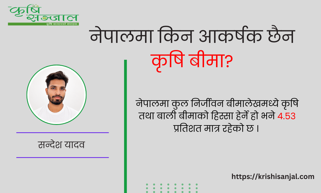 नेपालमा किन आकर्षक छैन कृषि बीमा?