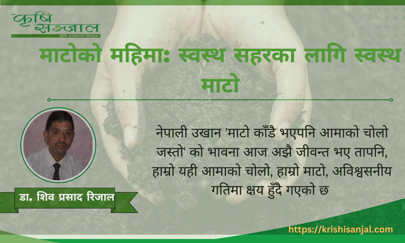 माटोको महिमा: स्वस्थ सहरका लागि स्वस्थ माटो