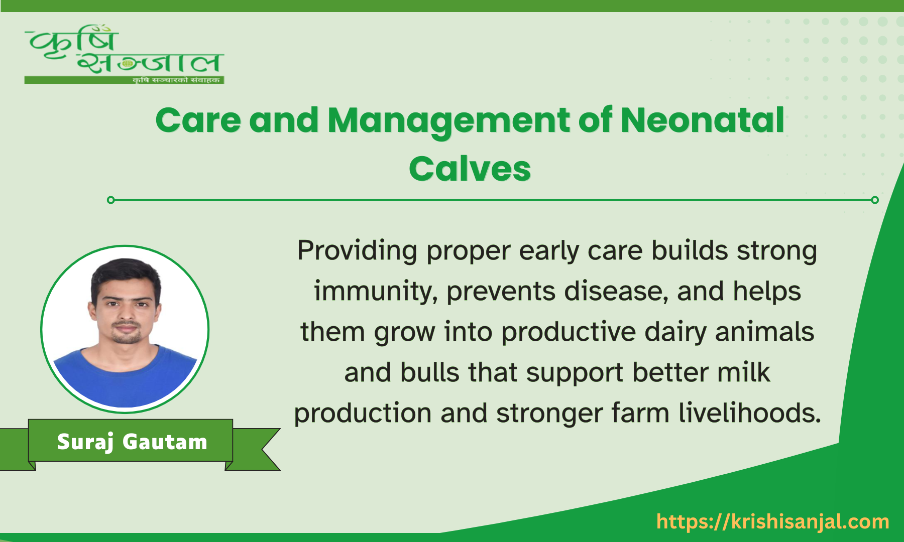 Care and Management of Neonatal Calves