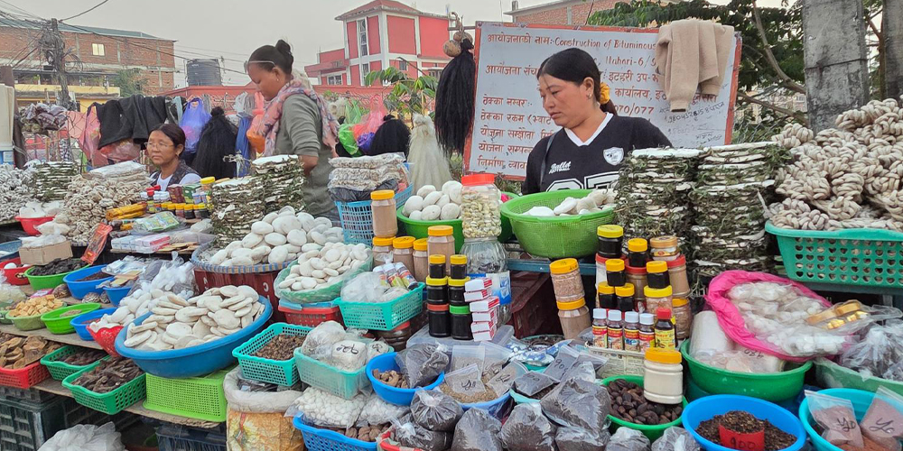 पहाडबाट झरेर तराईमा जडीबुटी व्यावसाय