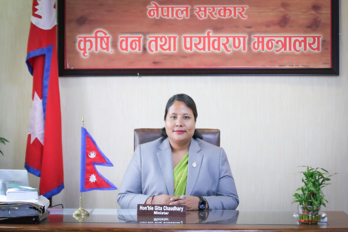 गहुँ, चैते धान र वर्षे धानको मूल्य तय, निर्देशिका पनि जारी