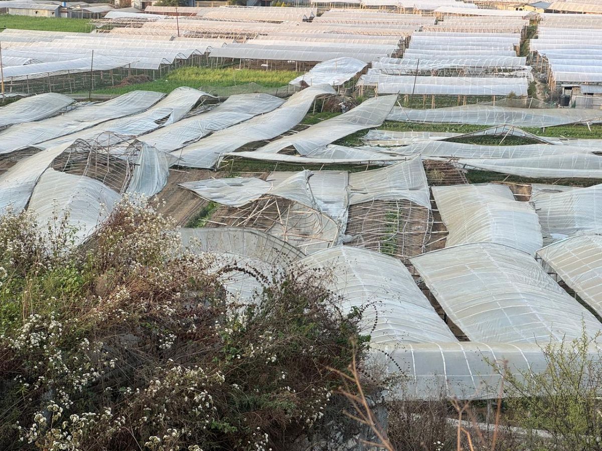 हावाहुरीले तरकारी खेतीमा ठूलो क्षति, मर्कामा किसान