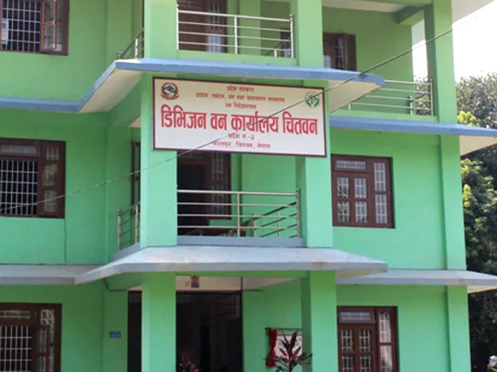 चितवनमा देववृक्ष उत्पादन सुरु