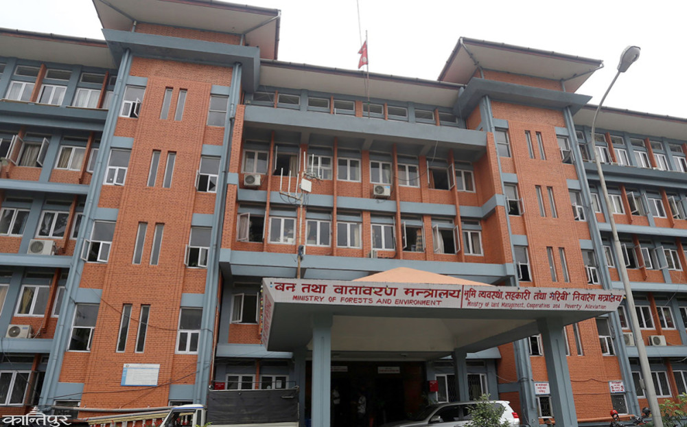 Red Monkey and Wild Boar Declared Agricultural Harmful Wildlife