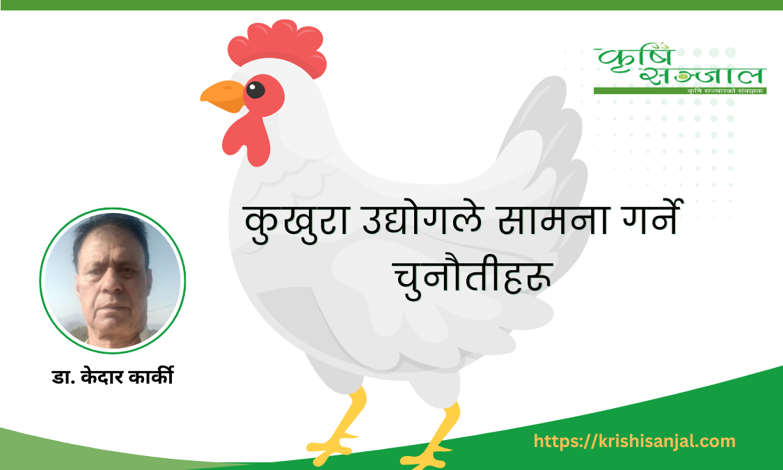 कुखुरा उद्योगले सामना गर्ने  चुनौतीहरू