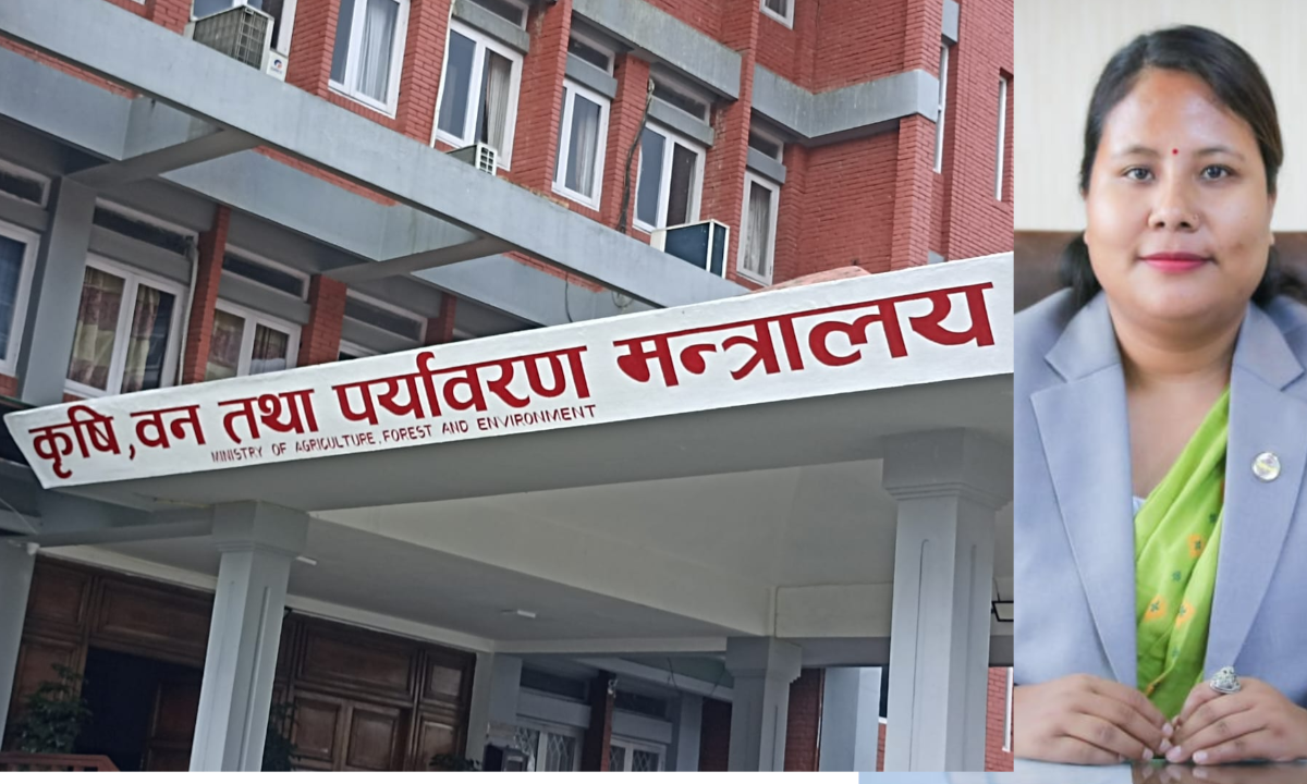 गोलभेँडा बजार व्यवस्थापनमा मन्त्री चौधरी सक्रिय, उपत्यका बाहिर निकासी हुँदै