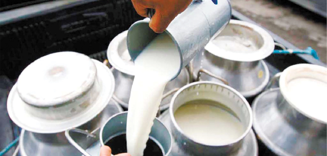 दुधमा चार रुपियाँ अनुदान